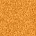 JAUNE MOUTARDE